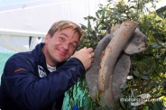 Henning likes koalas!